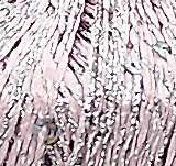 3151.