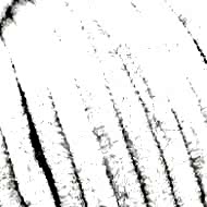 70136-