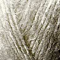 P02098