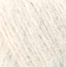 P06383