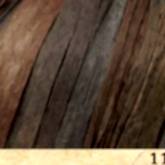 117-03
